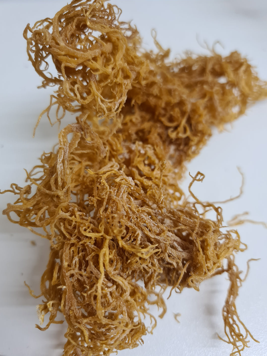 Raw Sea Moss